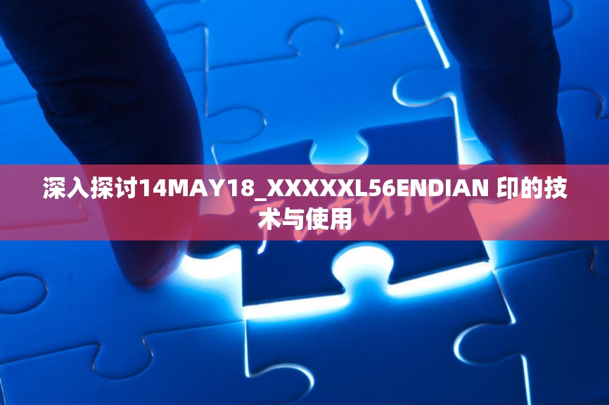 深入探讨14MAY18_XXXXXL56ENDIAN 印的技术与使用