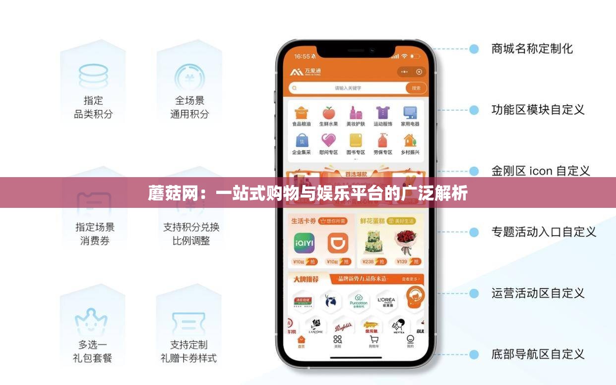 蘑菇网：一站式购物与娱乐平台的广泛解析