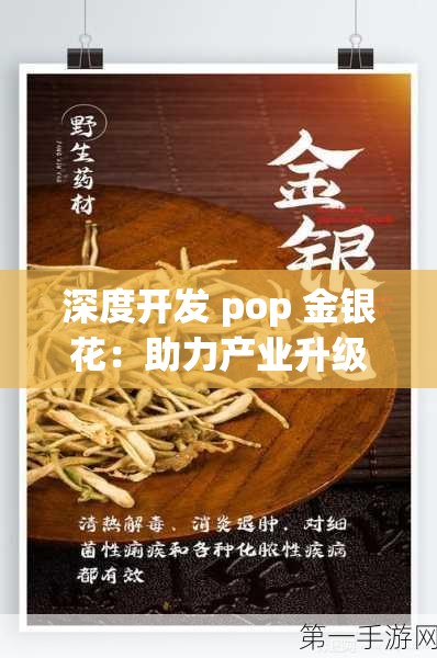 深度开发 pop 金银花：助力产业升级的新路径