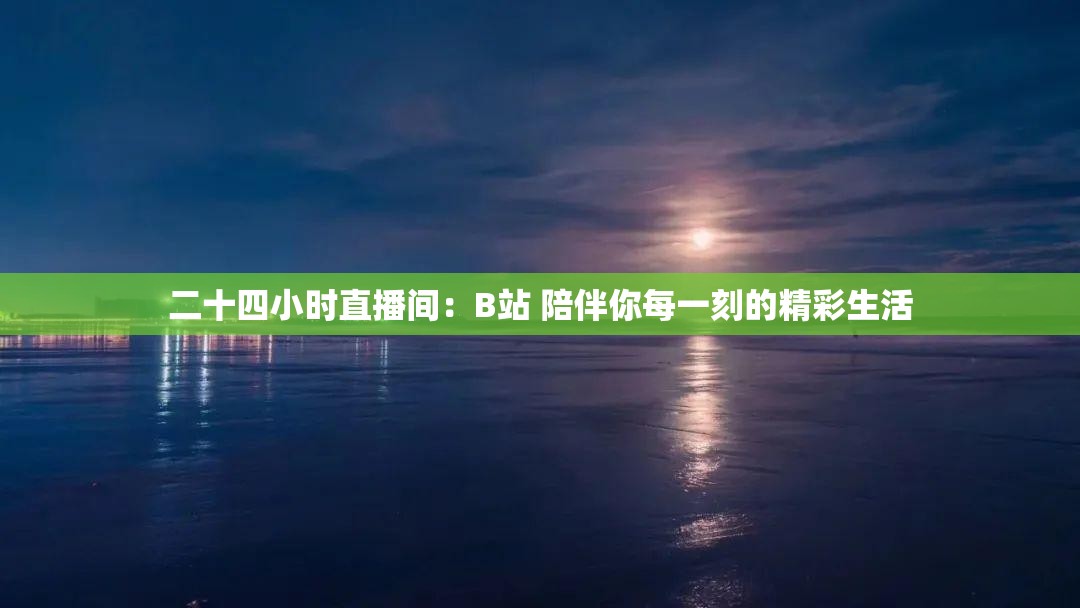 二十四小时直播间：B站 陪伴你每一刻的精彩生活