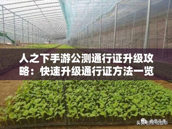 人之下手游公测通行证升级攻略：快速升级通行证方法一览