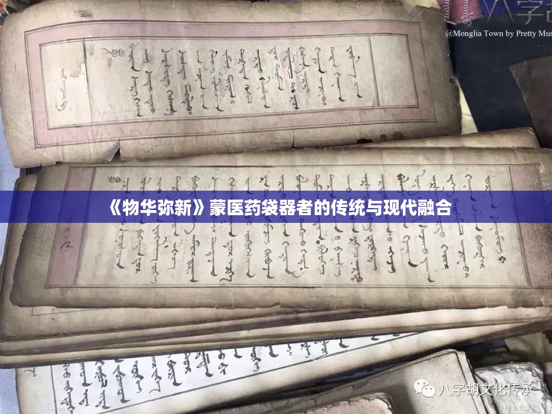 《物华弥新》蒙医药袋器者的传统与现代融合